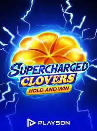 Slot game at PALDOCROWN COM