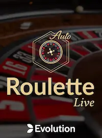 Roulette Live at PALDOCROWN COM