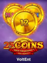 Slot game at PALDOCROWN COM